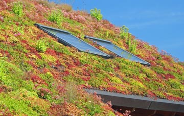 Darwen living roof systems